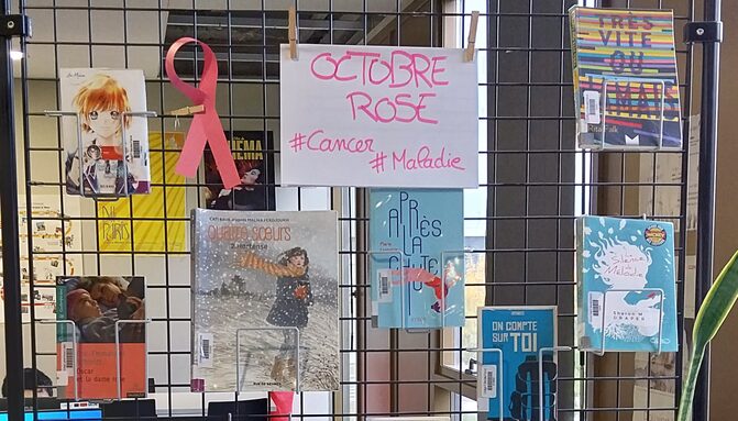 Venez découvrir la sélection entière des livres abordant le sujet du cancer...